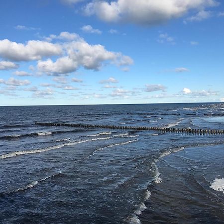 Sonnendeck Lägenhet Prerow Exteriör bild